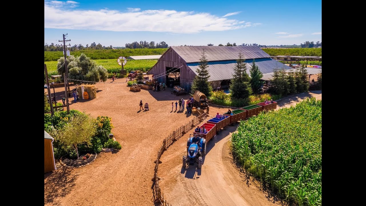 The Coolest Pumpkin Patch in California: Hunter Farms