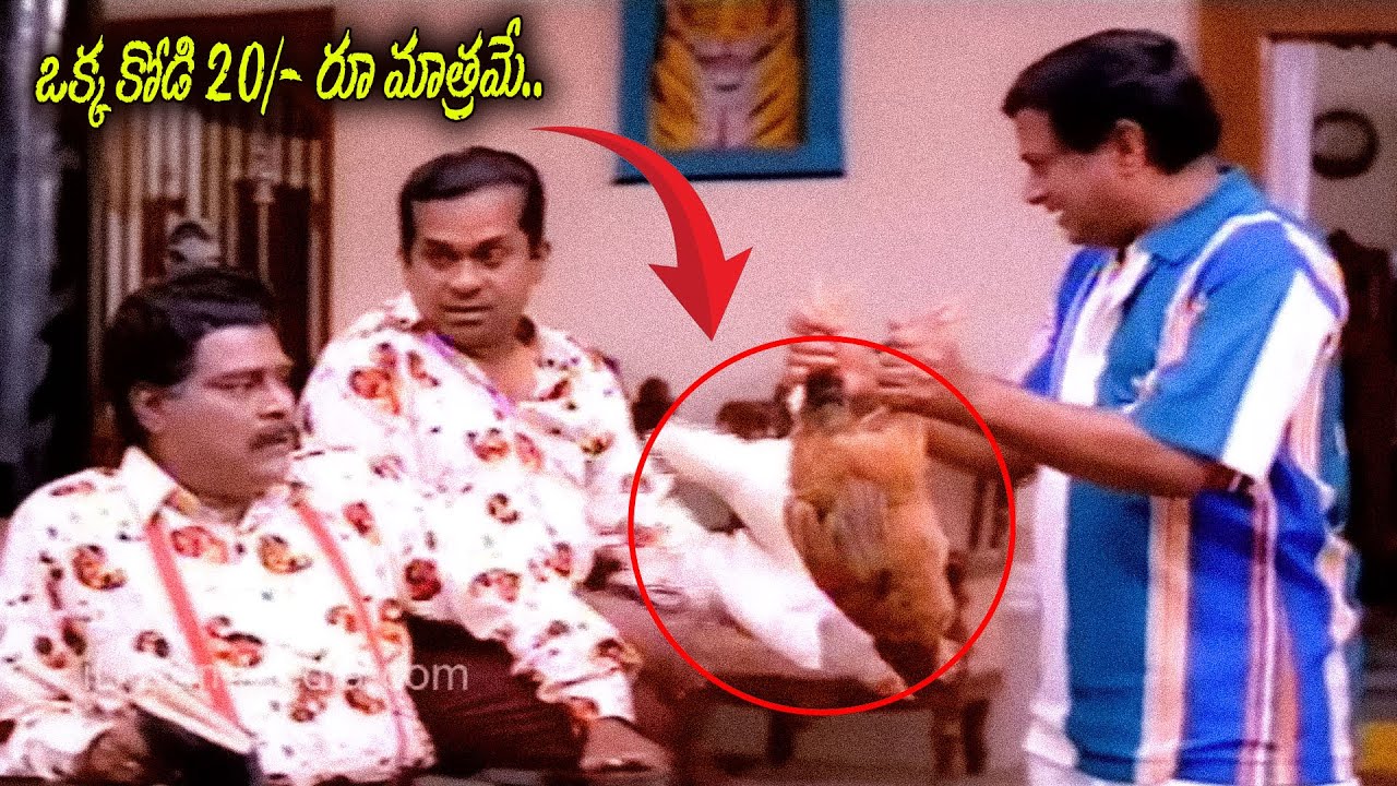 పొట్ట చెక్కలయ్యే నవ్వులు 😂 | Brahmanandam & MS Narayana Comedy
