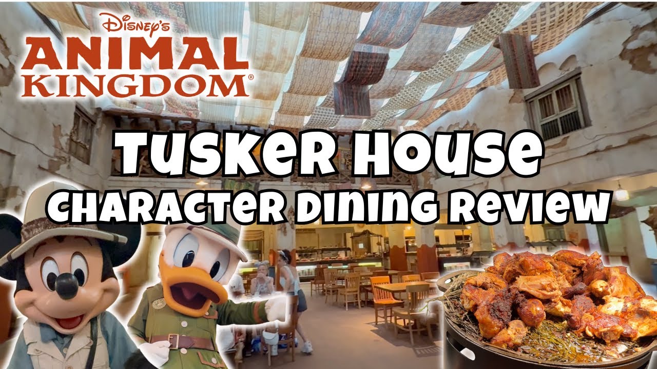 Family Dinner at Tusker House | Is This the BEST Character Meal at Disney World?