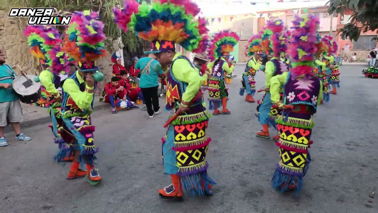 Son EL NEGRO  |  Danza Halcon Guadalupano