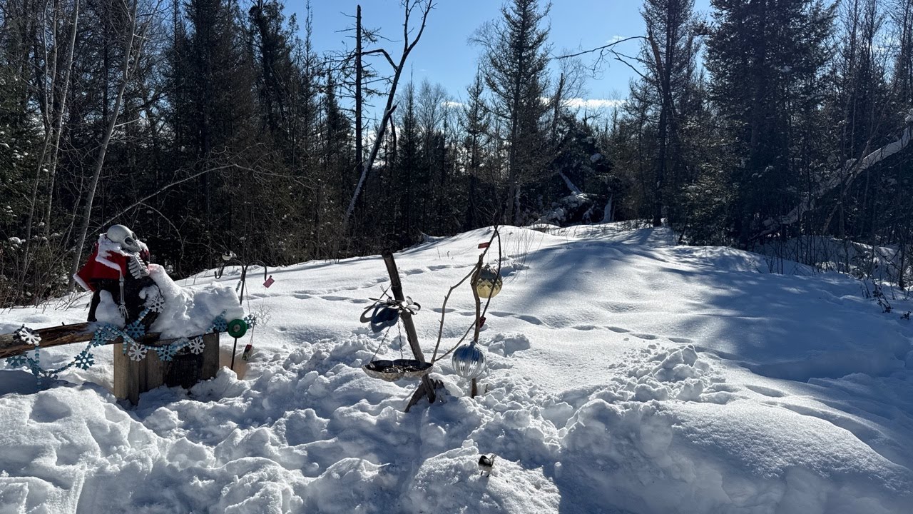 cillin at the camp