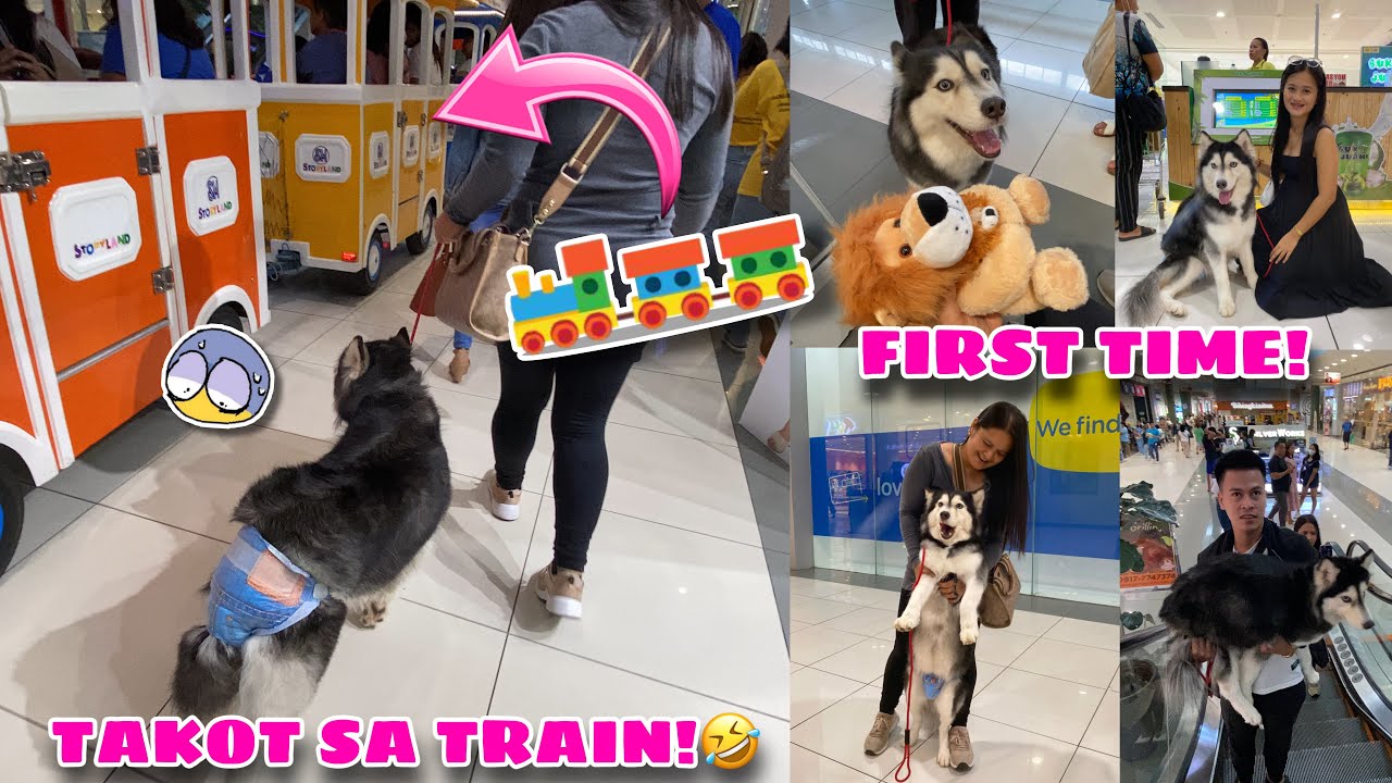 Thunder’s First Gala Sa Mall! | NAOVERWHELM SYA | Husky Pack TV