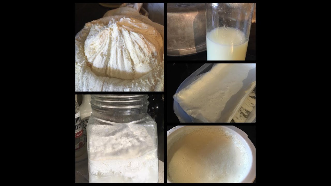 Comment faire son Kéfir de lait et fromages: atelier long de fromages.