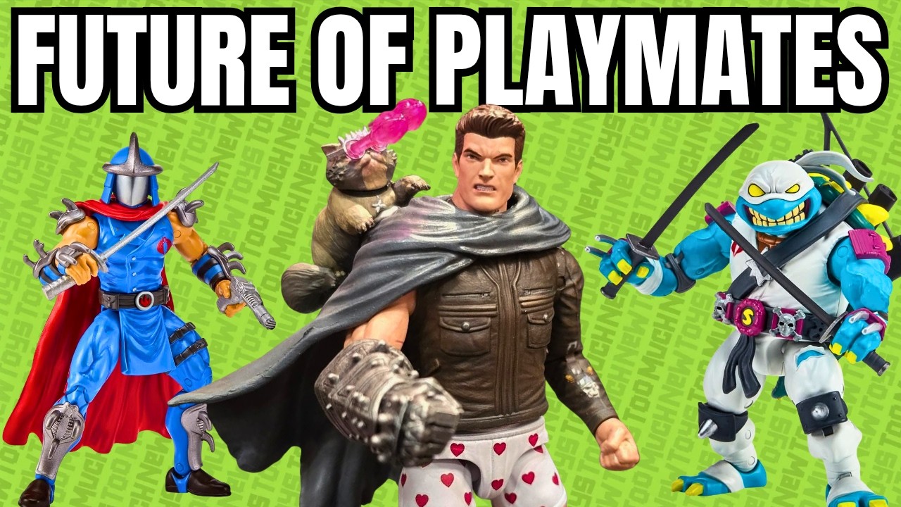 Does Playmates Toys Have a Future Without TMNT?