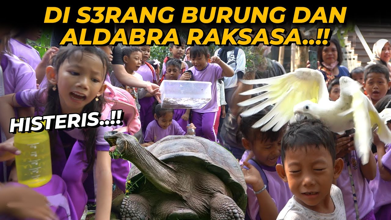 TAKJUB SEKALIGUS TAKUT..??! KUNJUNGAN KALI INI LUMAYAN BAR BAR..!