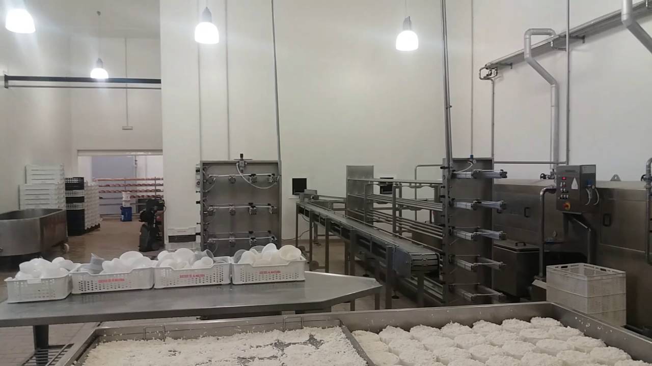 As&iacute; trabajan en la f&aacute;brica Quesos Almassora