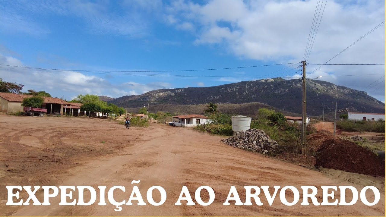 PEGUE A ESTRADA E VENHA COM A GENTE AO ARVOREDO - MUNICÍPIO DE CATUNDA