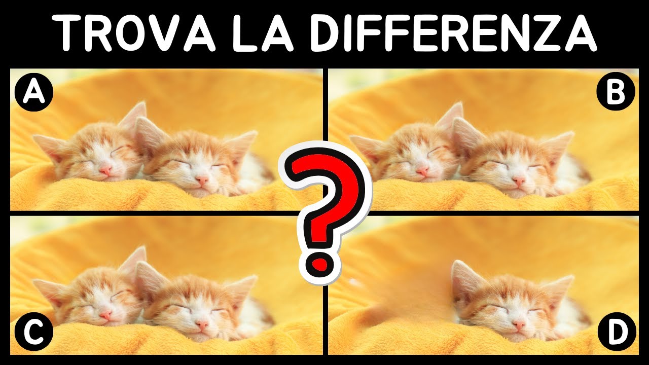 🔎 Trova l'Immagine Diversa - Animali 🔎 Video Quiz