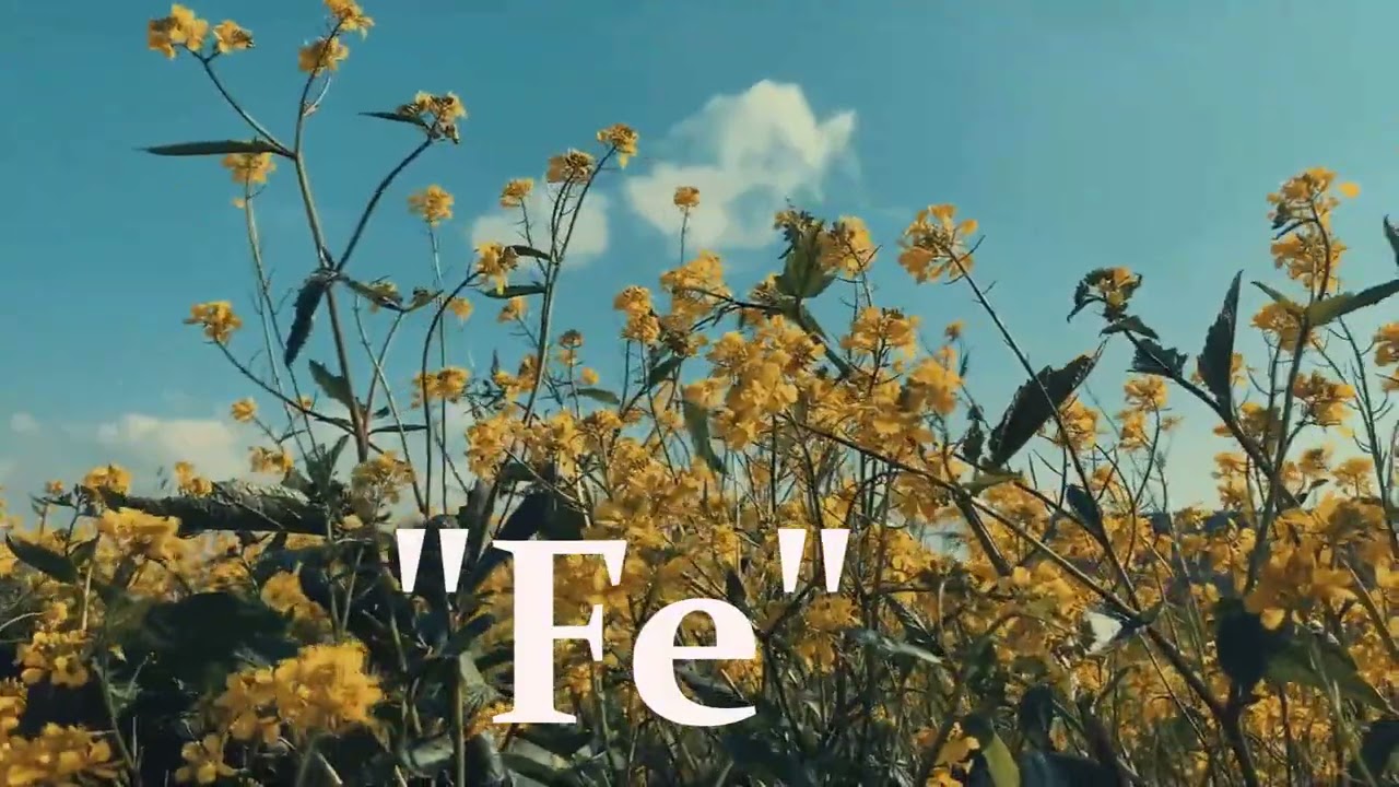 FE - NEVILLE GODDARD
