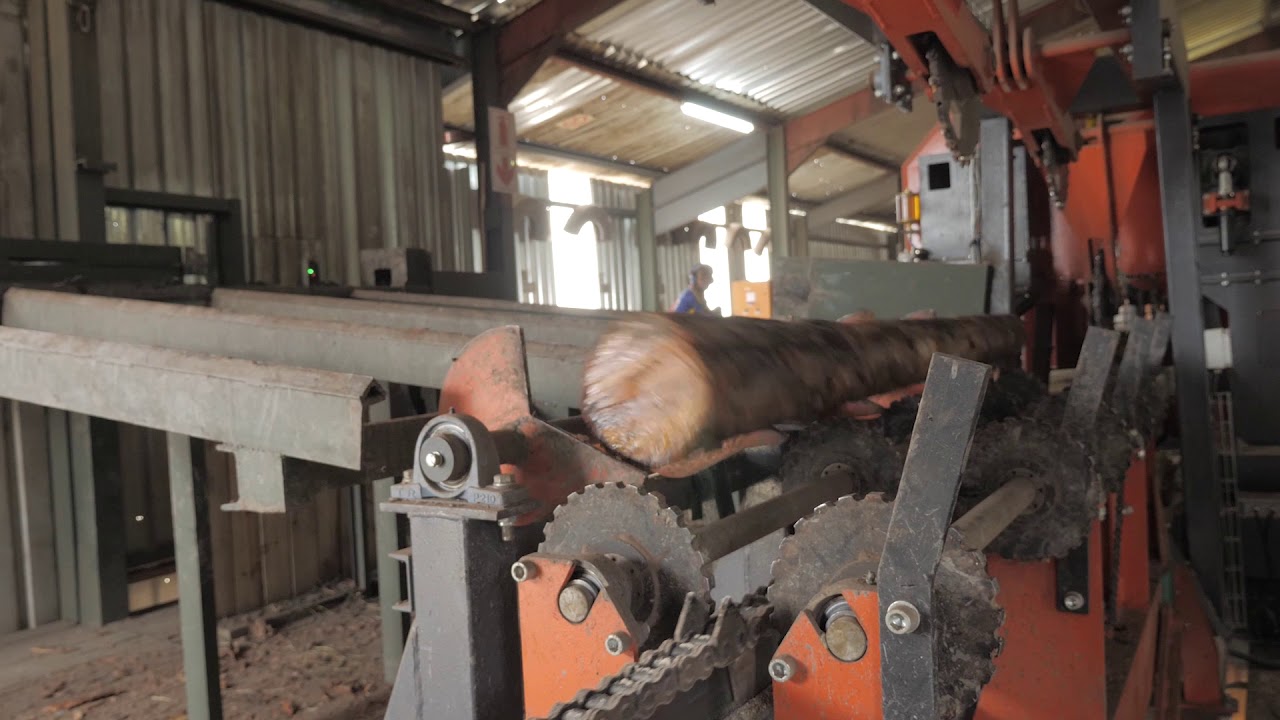 Wood-Mizer Titan TV2000 Twin Vertical Auto Feed Sawmill Line
