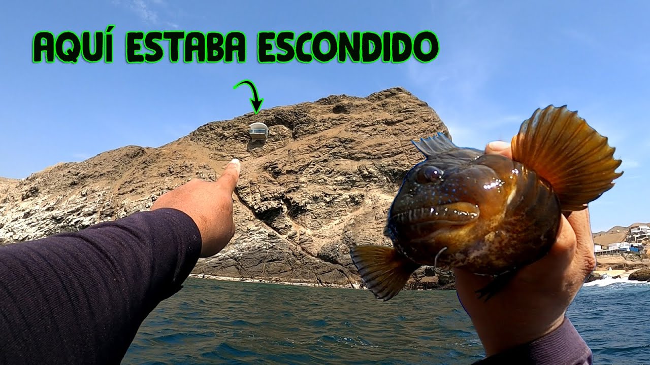 DIJERON QUE NO ENCONTRARÍA NADA | Estuvieron equivocados |  Tablita Fishing
