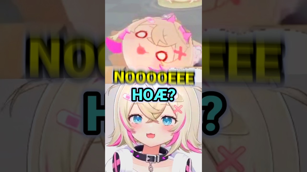 When MOCOCOE Meets MOCOCOE! [Hololive | FUWAMOCO]