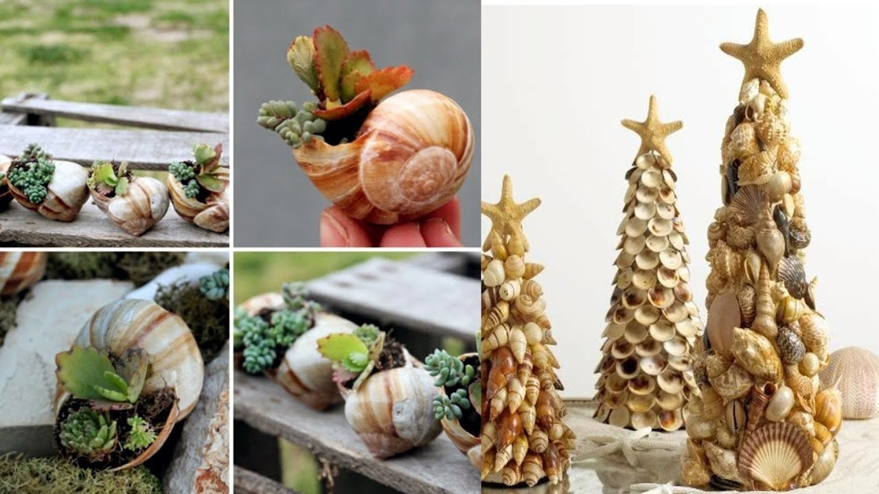 Decorating With Seashells Ideas