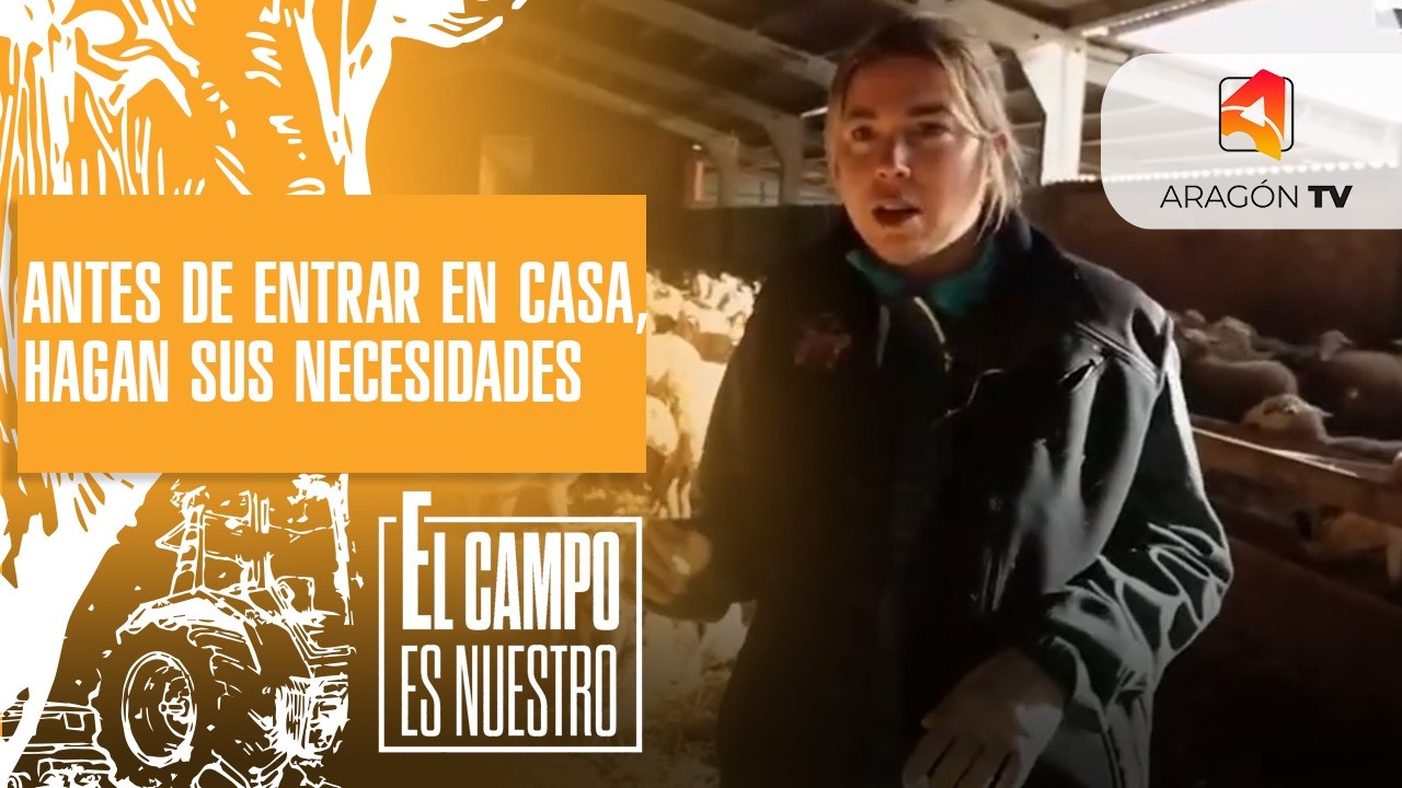 Antes de entrar en casa, hagan sus necesidades