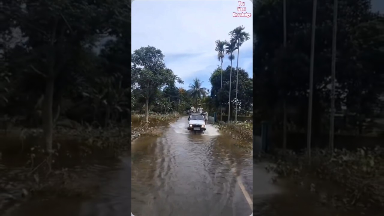 Assam Flood Ground Reality: Driving Through Submerged Villages | Critical Situation
