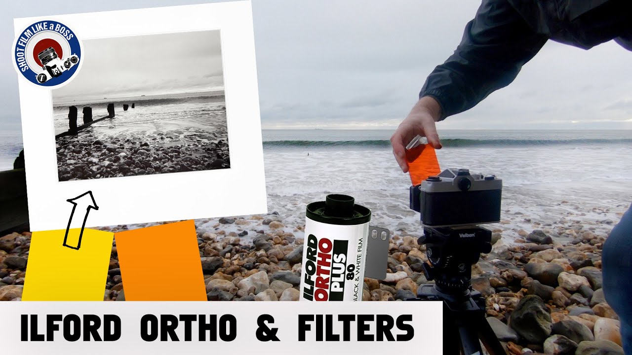 Фотография на 35-мм плёнку. Ilford Ortho 80 и фильтры. Оранжевый фильтр?