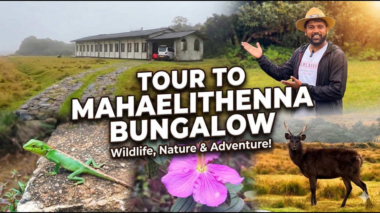 Horton Plains Bungalow Tour | Dream Map Tours Ep 02 #travel #srilanka #ceylon #hortonplains