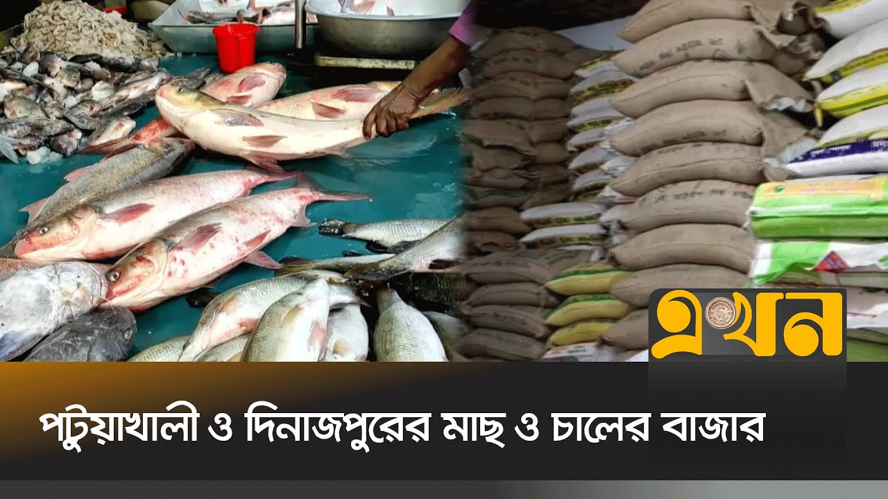 সপ্তাহ ব্যবধানে কমেছে নদী-সামুদ্রিক মাছের দাম ও চালের দাম | Bazar News | District News | Ekhon TV