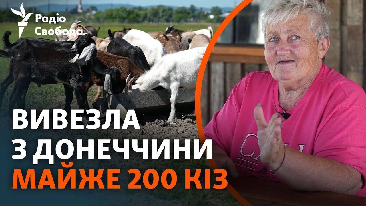 Как пенсионерка из Донецкой области эвакуировала животных на Львовщину