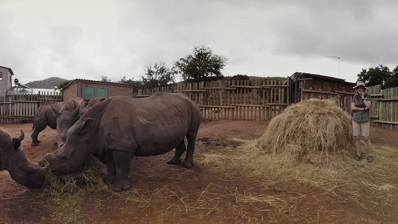 Care for Wild Rhino Sanctuary 360° Look