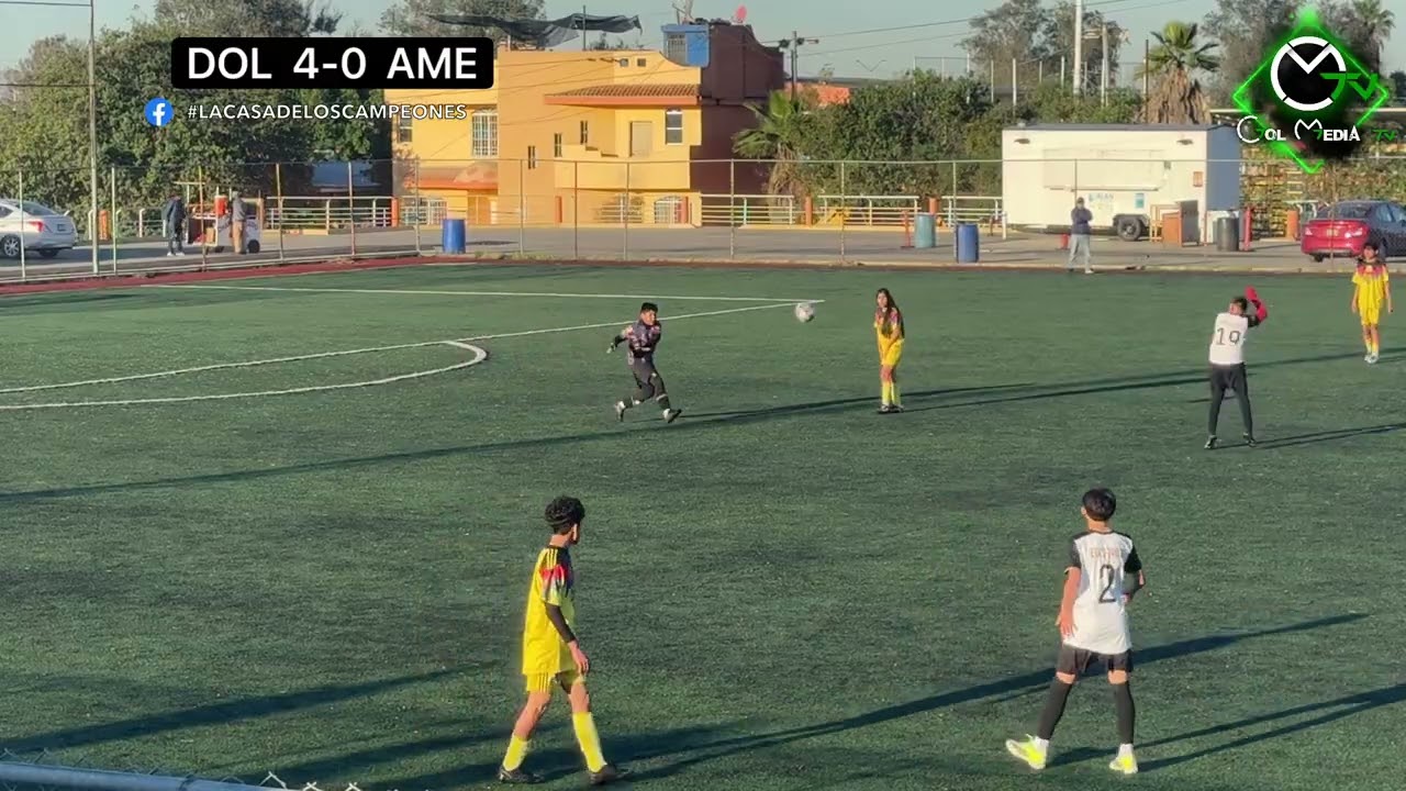 Dolphins vs América por #golmediatv #lacasadeloscampeones 