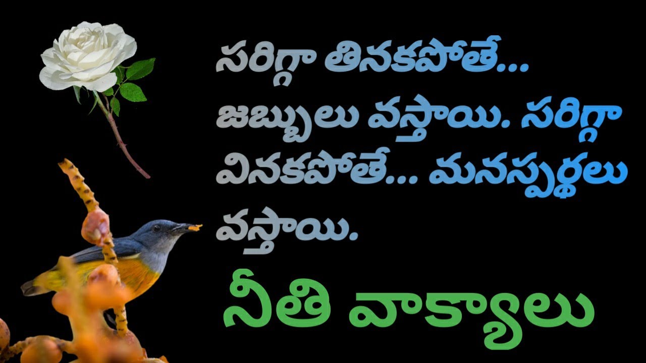 Top matalu #1050 | neethi vakyalu | manchi matalu | telugu sukthulu | quotations | jeevitha satyalu