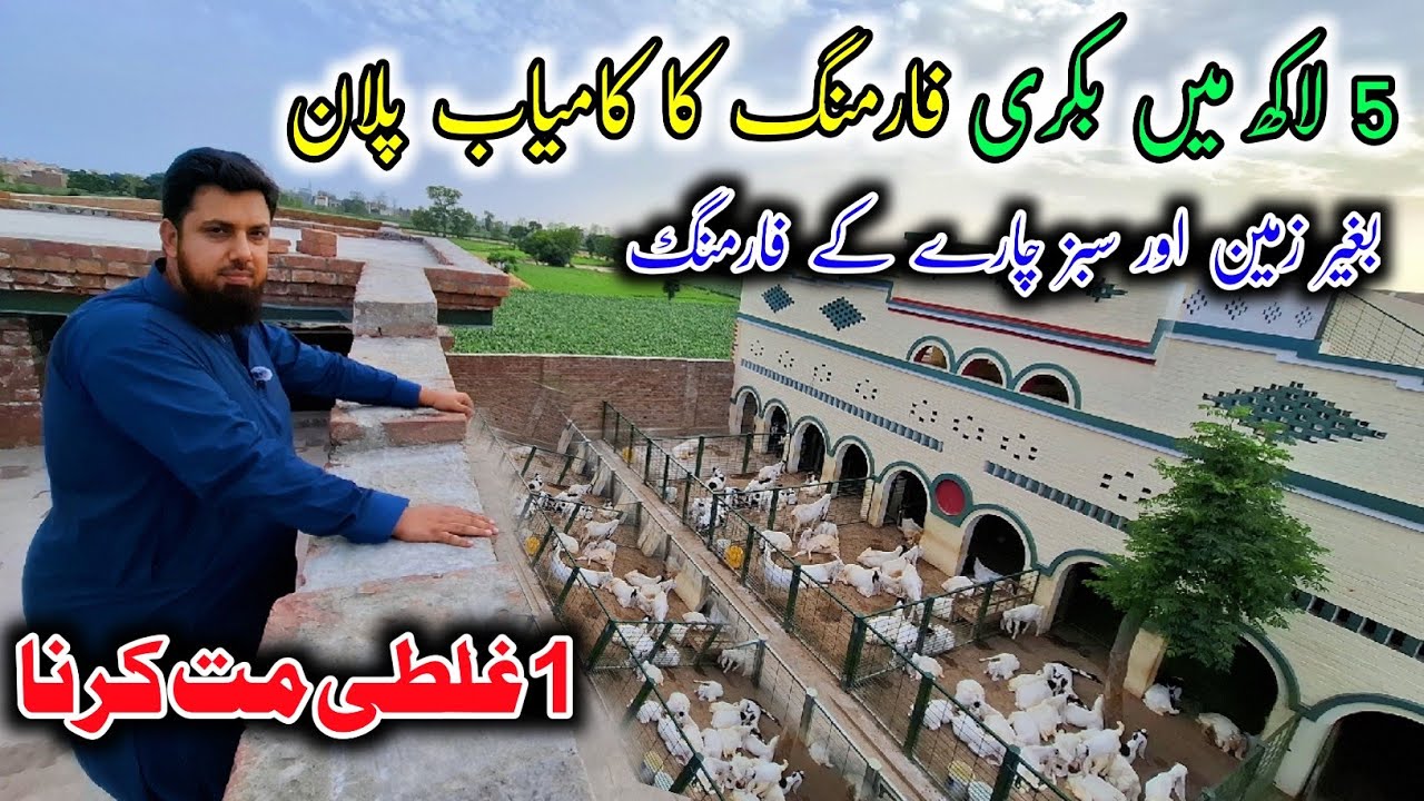 Low Cost Goat Farming Plan For Beginners - Successfull Goat Farming Plan