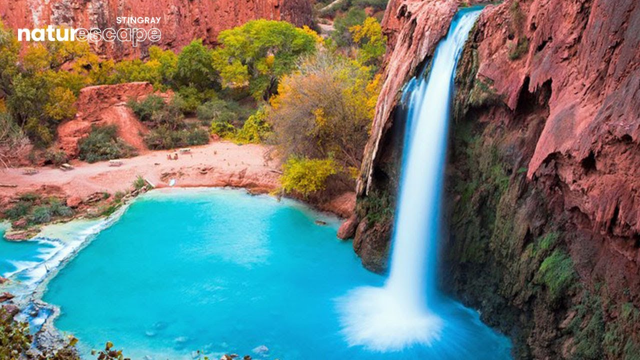 Calming Water Sounds of Waterfalls in the Deep Forest (No Music)