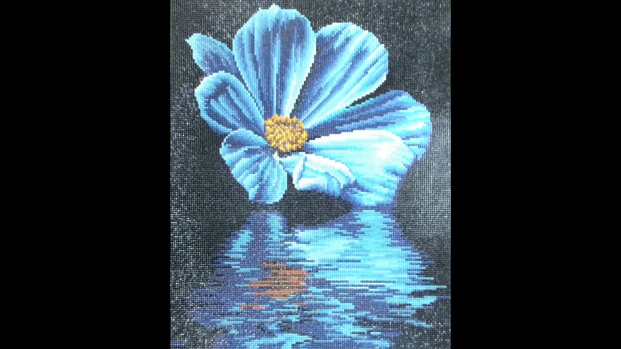 Day 14 of Flower Reflection