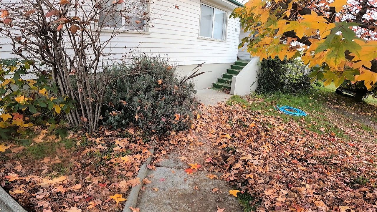 DIY Garden Renovation Goes Horribly Wrong | Massive Yard Makeover (Part 2)