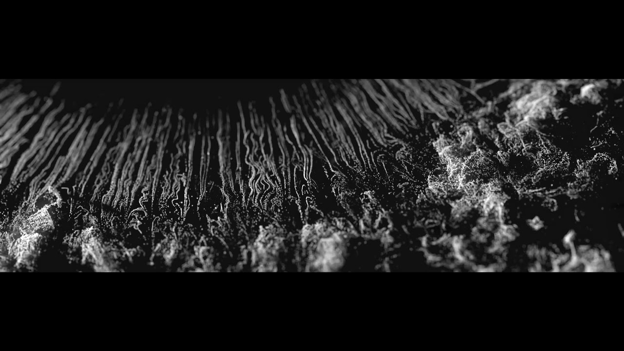 Piet Dierickx - &lsquo;Album  I&rsquo;  (trailer)