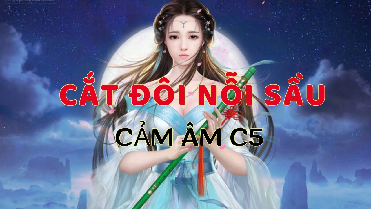 CẢM ÂM C5 CẮT ĐÔI NỖI SẦU - THẮM SÁO