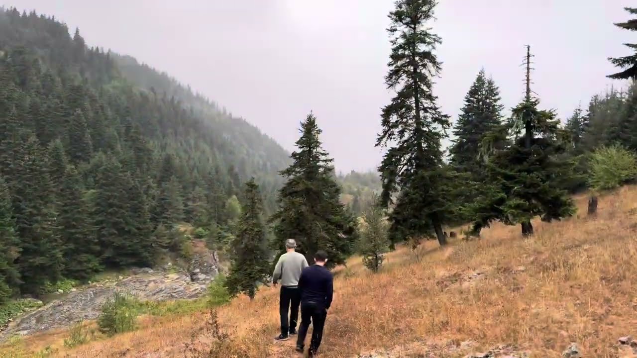 Sisli dağlar Karadeniz 