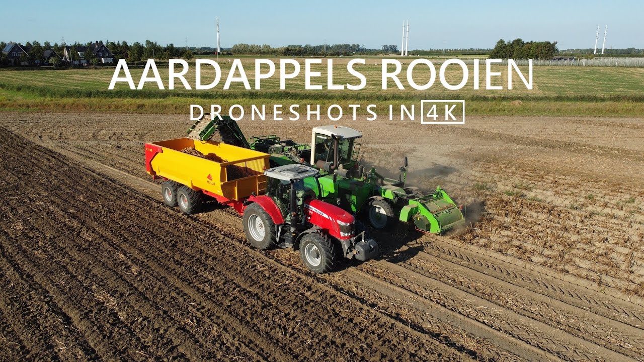 Aardappels rooien | Netagco AVR Quadra | September 2021