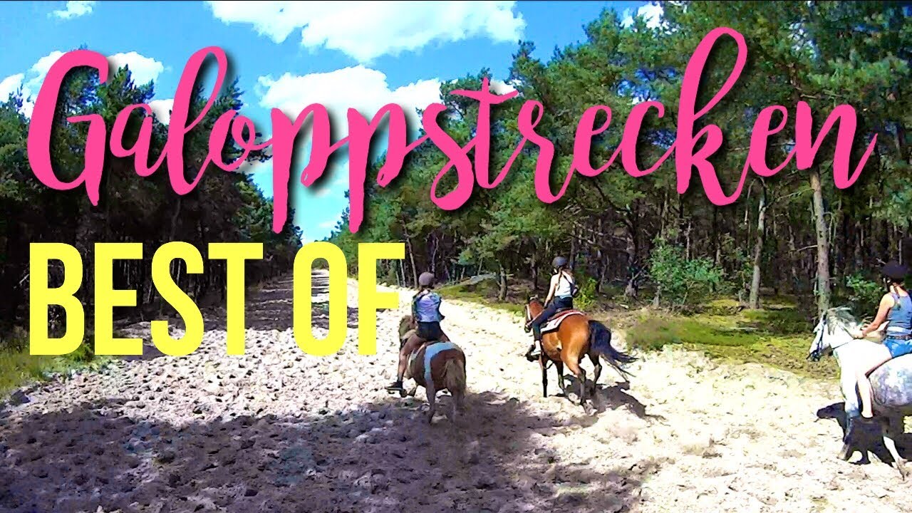 GALOPPSTRECKEN Best-of (2015-2017)