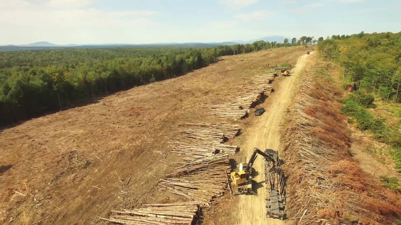 HoverFlow Aerials of Maine Logging Industry