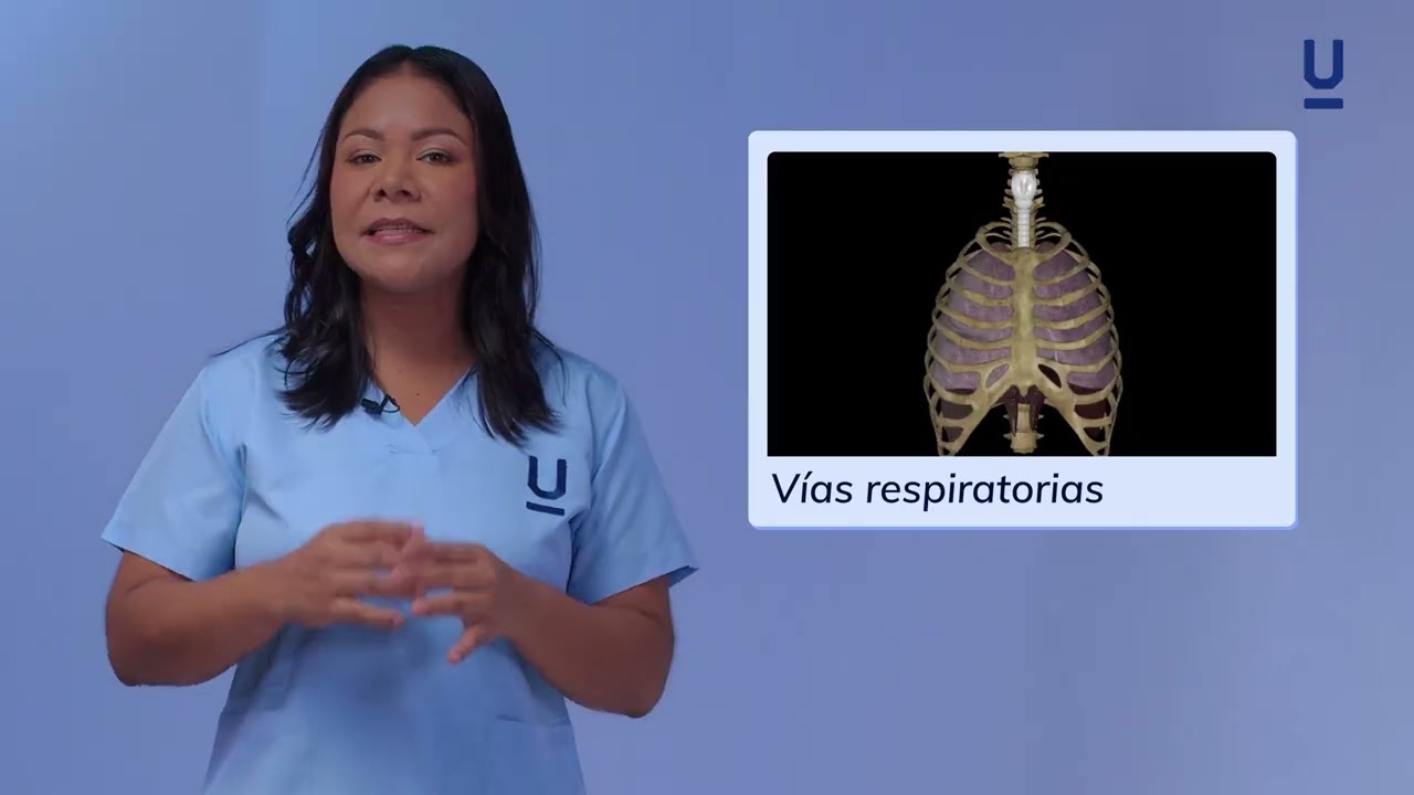 Curso de fisioterapia respiratoria [Gratis y Certificado] - Edutin Academy
