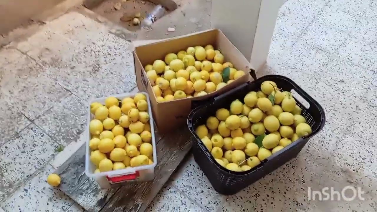 إذا عطيت شبع واذا ظربت اوجع(وال غاب غاب سهم) جمعت القارص وفرتها على الاحباب والصحاب