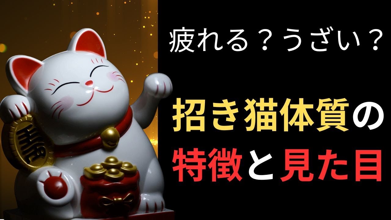 【最強の引き寄せ？】招き猫体質が持つ不思議な力