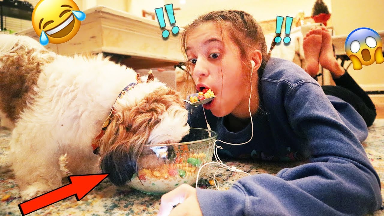 I IGNORED MY DOG FOR 24 HRS!!