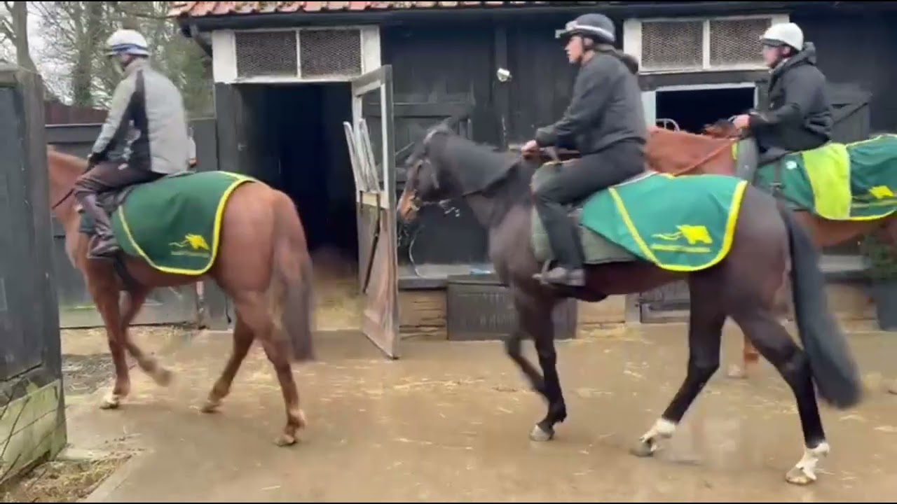 Gallops 28/02/2026- Birkett Racing 