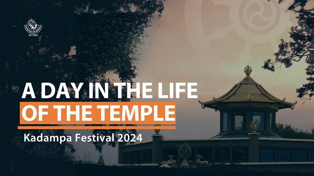 A day in the life of the Temple ~ International Summer Festival 2024