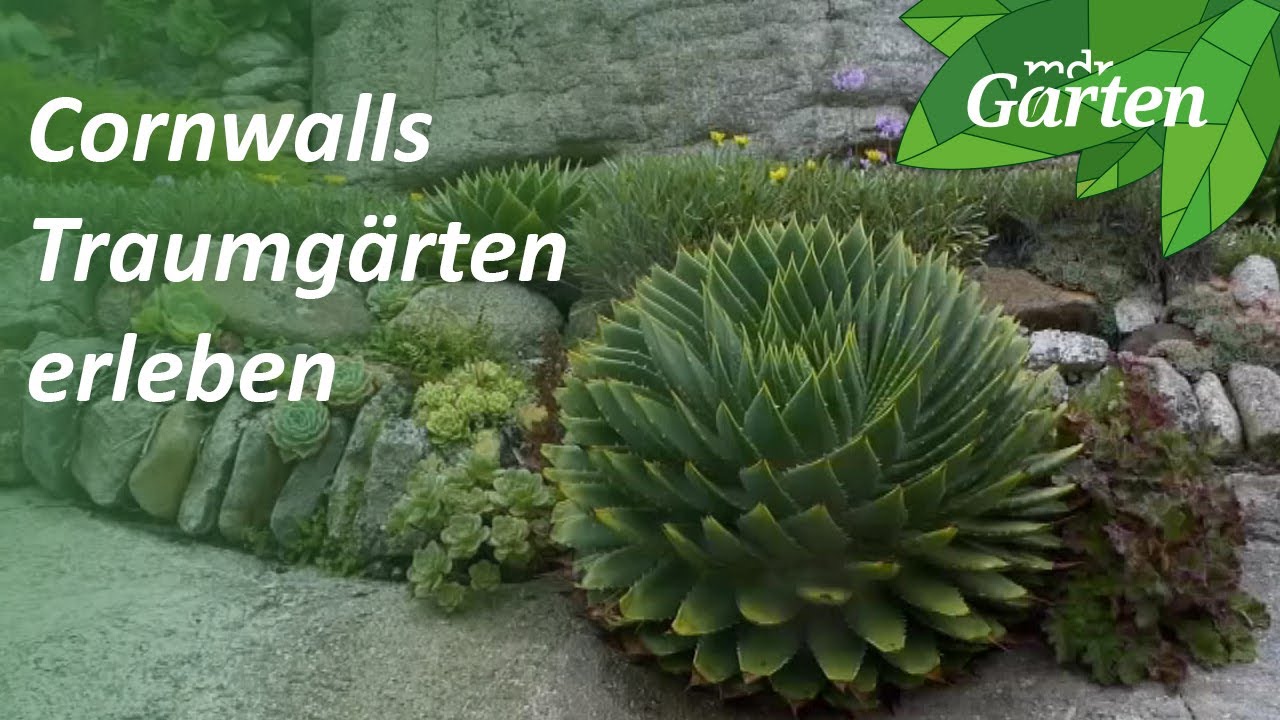 Gartenreise nach Cornwall in Großbritannien | MDR Garten