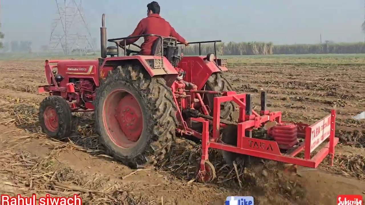 दौराला मिल द्वारा किसानों के लिए पहल ट्रेंच विधि तीसरे साल की गन्ना पैडी में आज चलाई आरएमडी 
