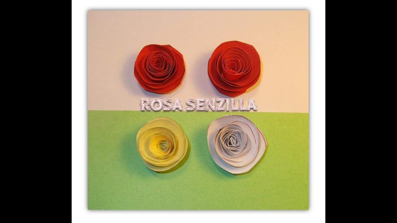 Rosa senzilla