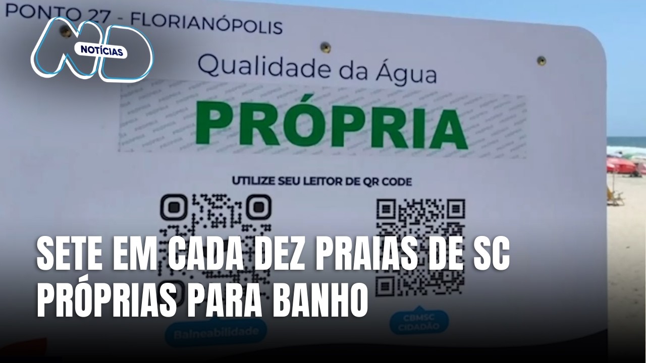 Sete em cada dez praias de SC estão próprias para banho