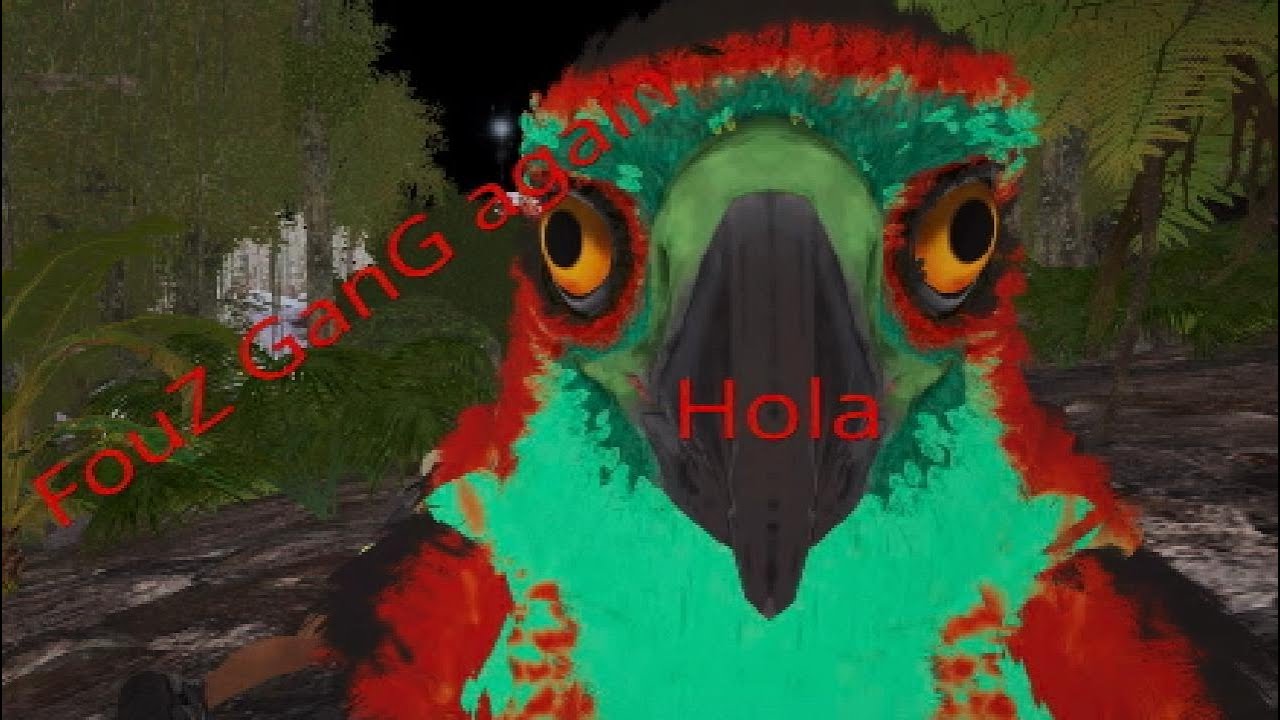 FouZ GanG 