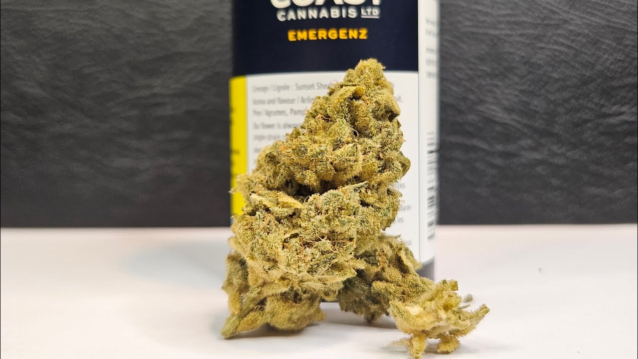 Strain Review Emergenz By Broken Coast