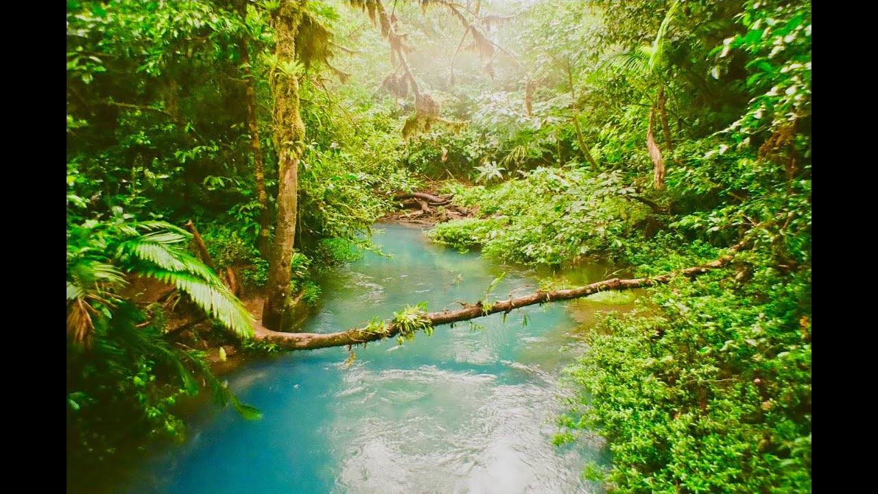 moscow mule | bad bunny // (intro slowed + looped + reverb + bass boosted) ((𝒂𝒎𝒃𝒊𝒆𝒏𝒕 𝒆𝒙𝒕𝒆𝒏𝒅𝒆𝒅 𝒎𝒊𝒙))