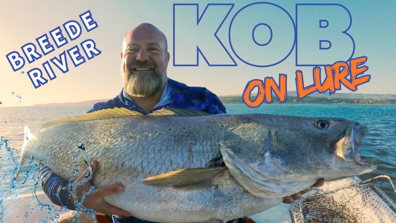 Catching giant Kob on Lure - Breede River #fishing
